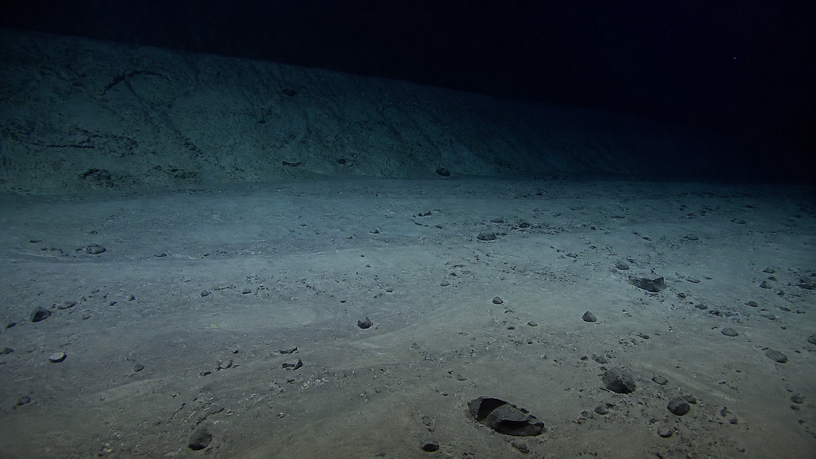 Illustration of a trench floor with sediment, scattered rocks and a steep wall